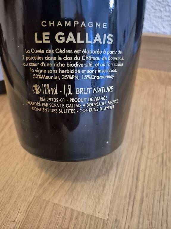 Vino: 2x 1.5 Liter Champagnerflaschen leer – Usato da Zürich venduto da smu_jrz2 1