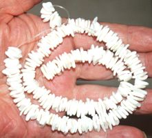 Muschel Perlen Strang B-1179 – Muschel Chips ca.10mm 42cm