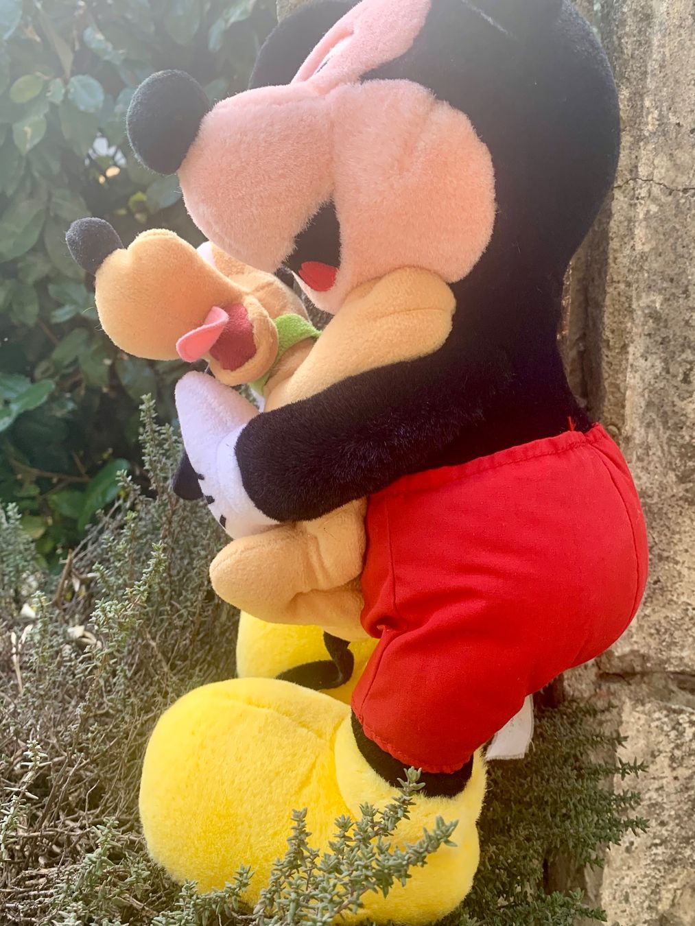 Disney Giocattoli: Peluche Mickey et Pluto dans ses bras – Usato da Martigny venduto da only__you 9