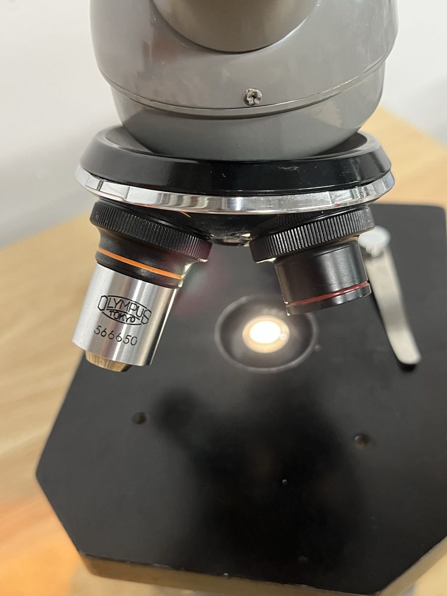 Olympus Microscopi: Olympus Tokyo Mikroskop Durchlicht – Usato da Würenlos venduto da padcall 1