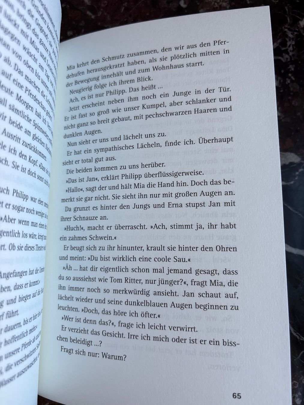 Libri: Reiterhof Glückstal - Heubodentage und Lagerfeuernächte – Usato da Genève venduto da Livsonman 3