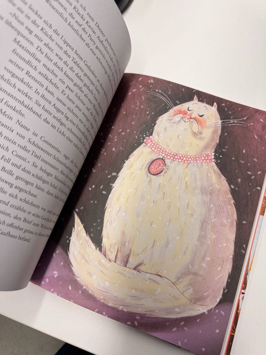 Libri: Maximilian und der verlorene Wunschzettel, Adventsbuch – Nuovo (secondo la descrizione) da Sursee venduto da ste_zr96 1