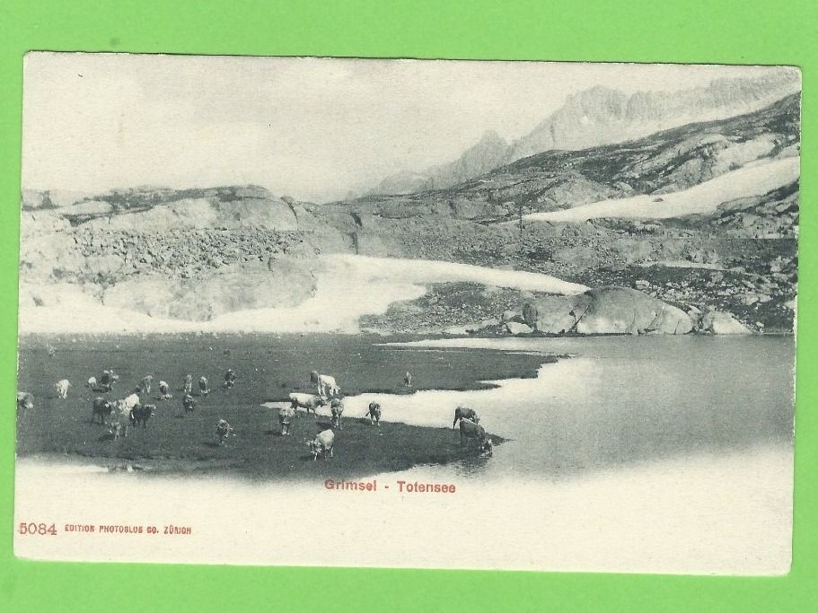 Cartoline postali: Grimsel - Totensee – Nuovo (secondo la descrizione) da Zürich venduto da t24_de