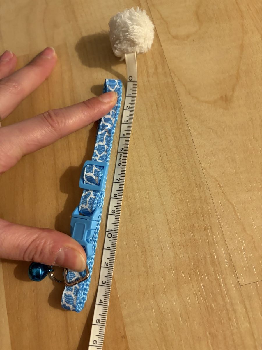 Nastri decorativi: Halsband für Katze - Hund hellblau – Nuovo e nell'imballaggio originale da Galgenen venduto da Miachelle 3