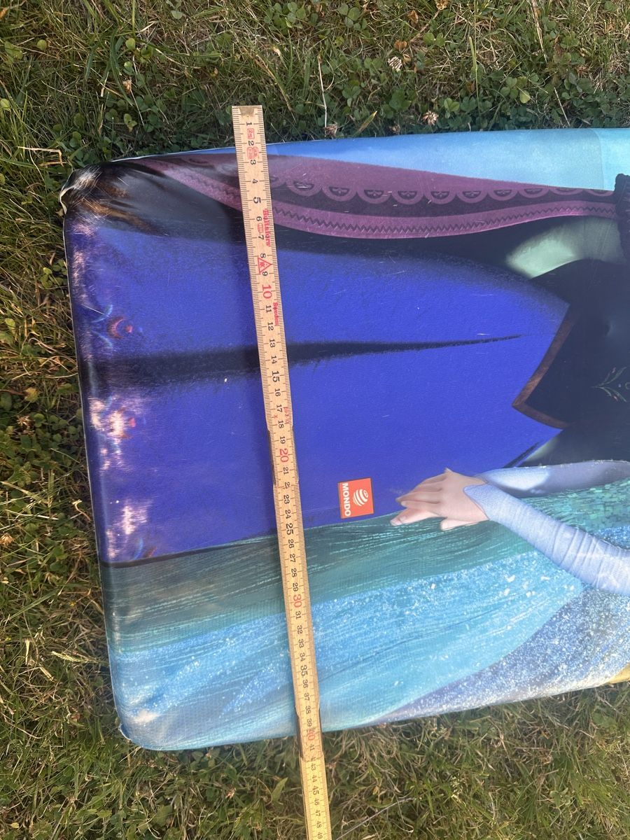 Kickboard: Frozen Kick Board  – D'occasion à Uster par bek_v2ct 1
