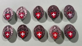 SAC Schweiz Alpenclub Abzeichen, 10 Stk, #2