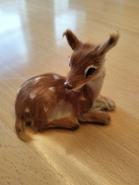 Rehkitz Kaufen auf Ricardo