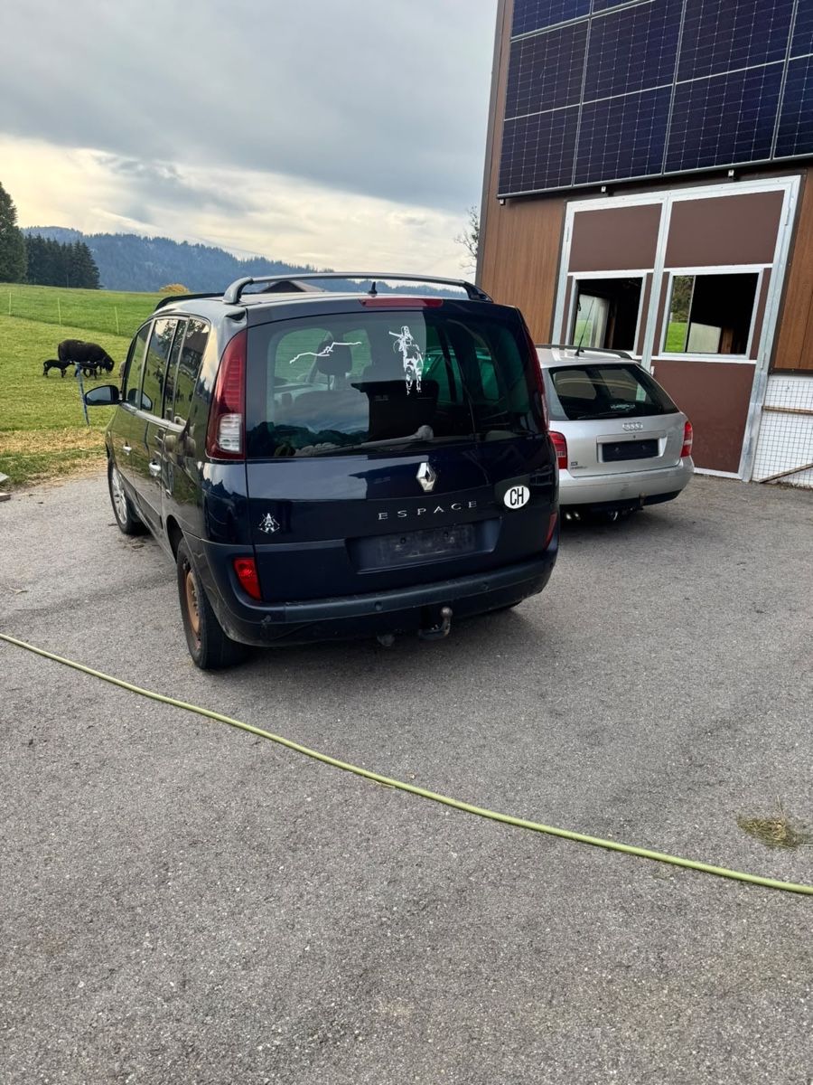 Renault Automobili: Renault Espace II – Usato da Unteriberg venduto da celine_dettling 2