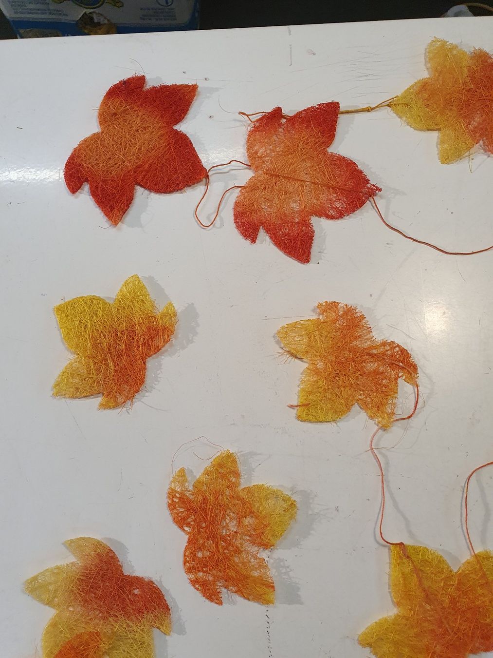 Piante & sementi: Herbstschmuck – Usato da Zürich venduto da loosebone 2