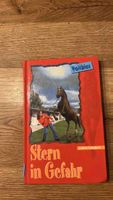Jugendbuch Vollblut Stern in Gefahr Joanna Campbell