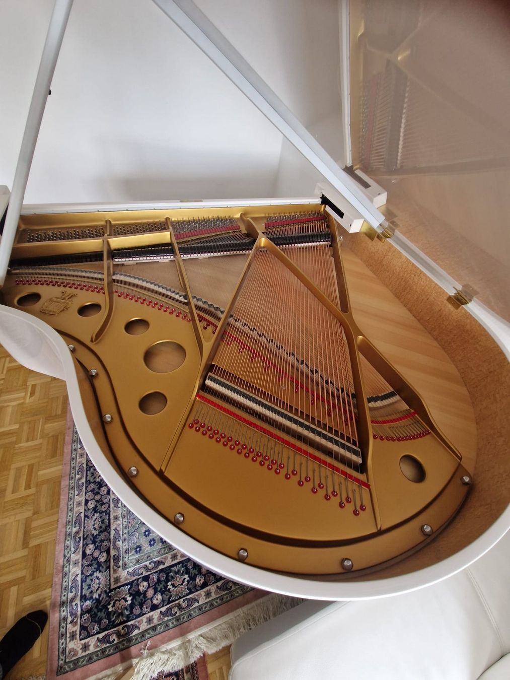 Strumenti musicali: PIANO à QUEUE /  STEINGRAEBER & SÖHNE A-170   BLANC LAQUÉ – Nuovo (secondo la descrizione) da Troistorrents venduto da kohlrusch 2