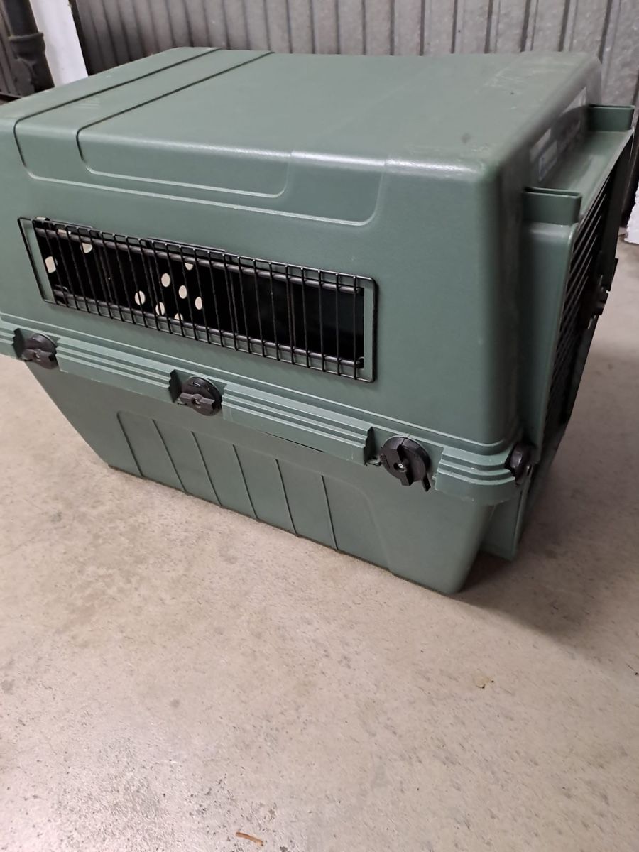 Gabbie, trasporto & Sicurezza: caisse pour animal – Usato da Lausanne venduto da ebove 1