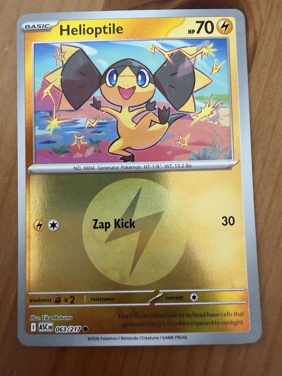 Pokémon Carte collezionabili: Helioptile (ASC063) – Nuovo (secondo la descrizione) da Vevey venduto da Matx