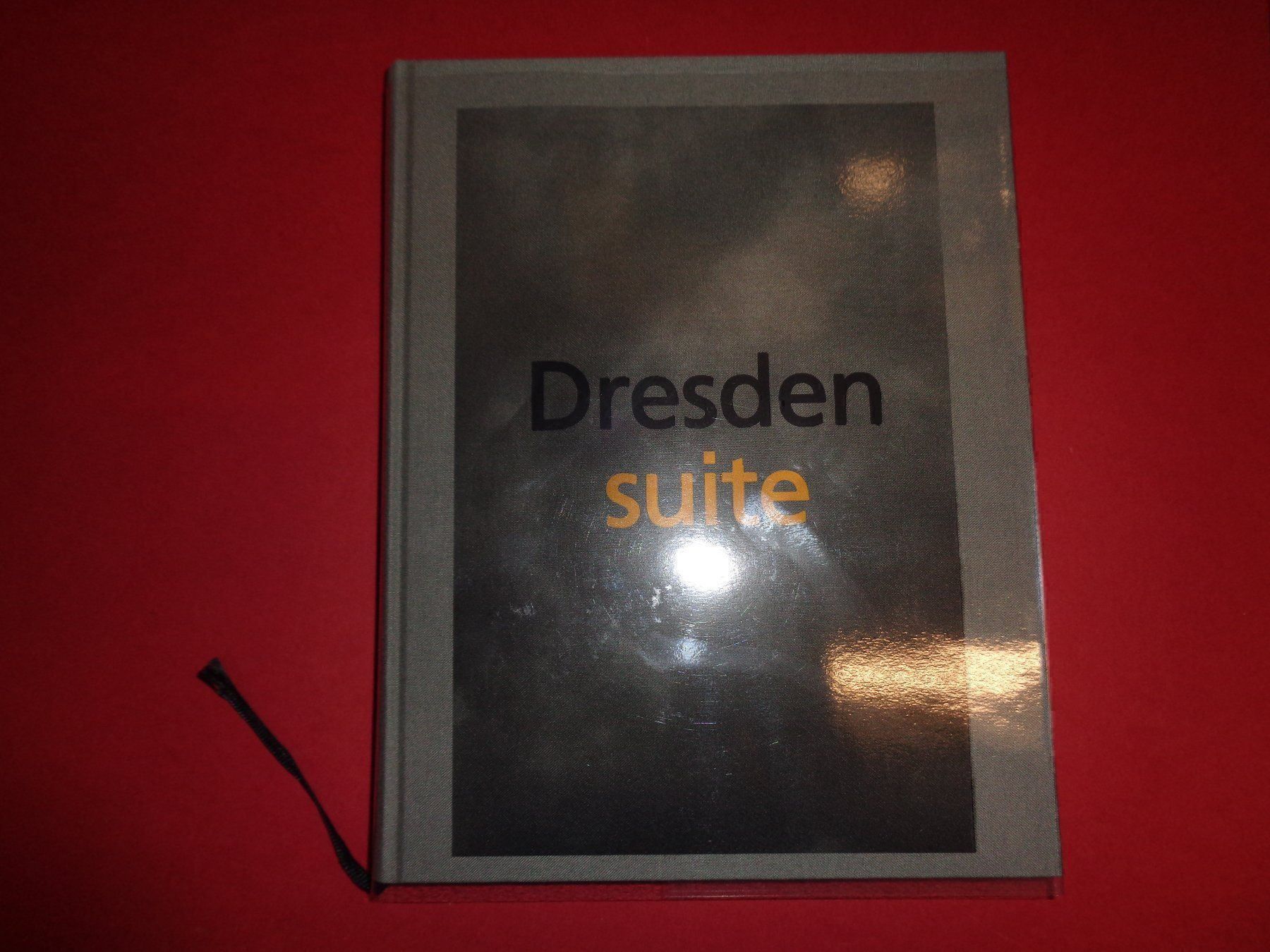 Libri: DRESDEN Suite Kai Olaf Hesse Architektur – Usato da Welschenrohr venduto da Regool 7