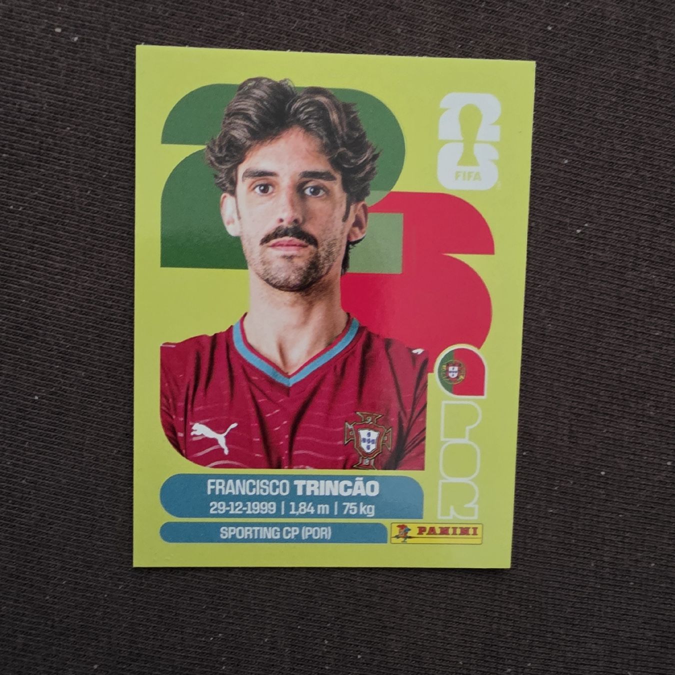 Panini Sammelbilder & Trading cards: Panini POR16 – Neu und originalverpackt aus Buchs AG von wickyjen88
