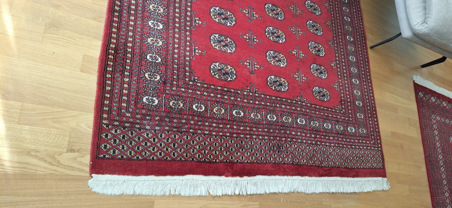 Pfister Tappeti: Teppich Pakistan Lahore – Usato da Wohlen AG venduto da Tiger0107 1