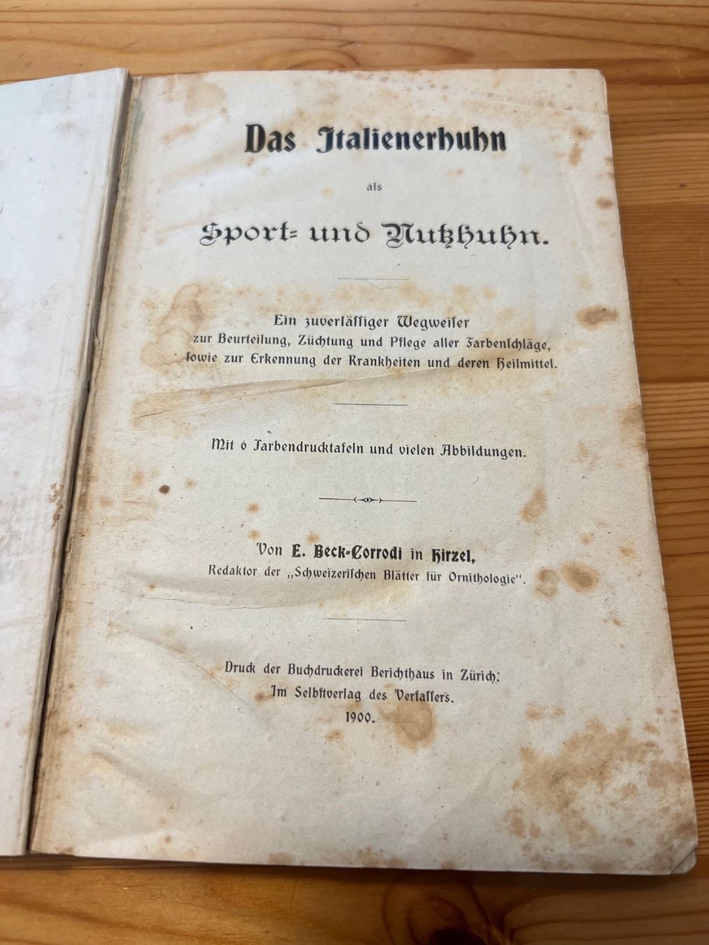 Libri: antikes Taschenbuch 1900 – Usato da Degersheim venduto da Rrimi 1