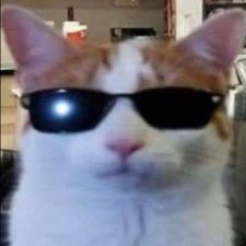 Profile image of piecesoverclothes