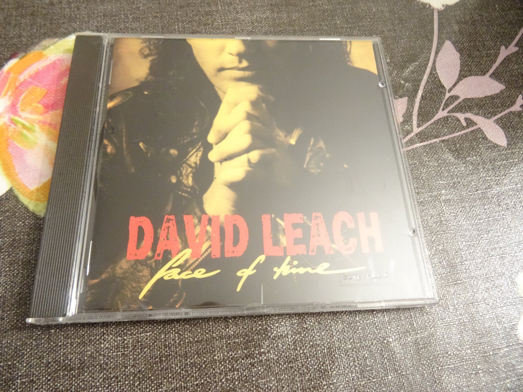 CD: David Leach - Face of Time CD – Usato da Olten venduto da Disc-Ausverkauf