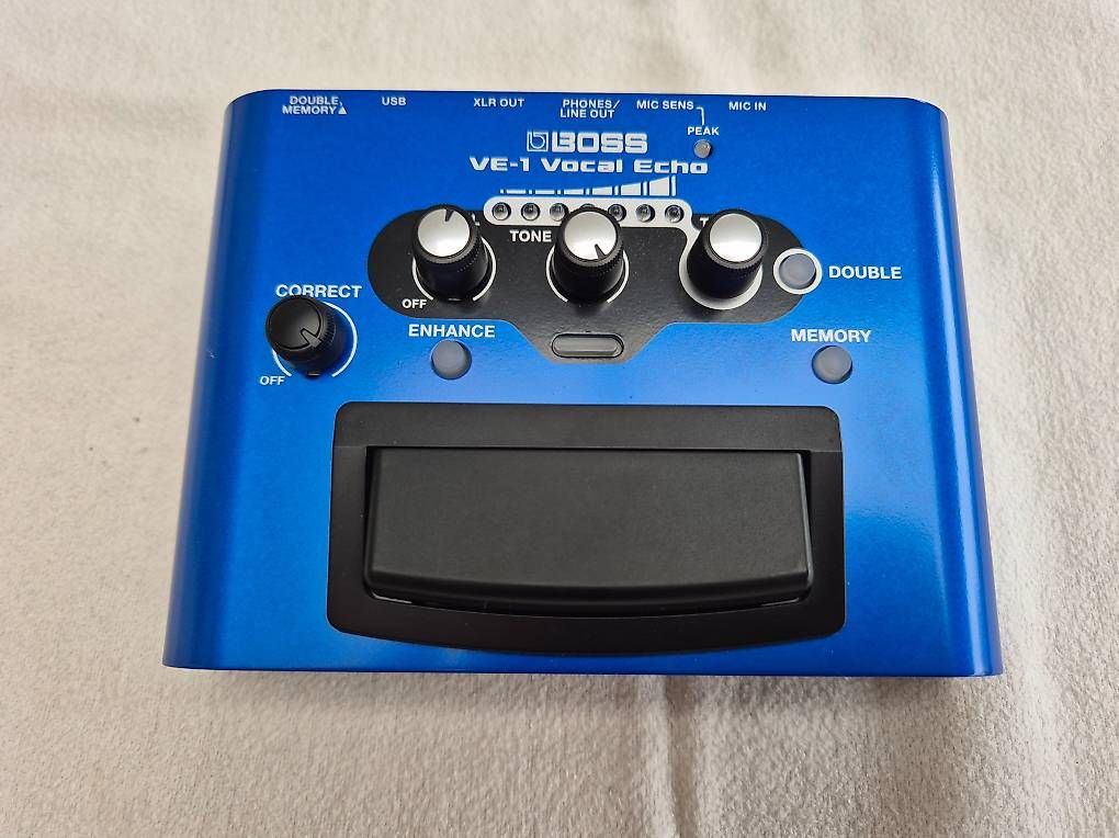 Strumenti musicali: BOSS VE-1 Vocal Echo – Usato da Court venduto da famille_schaer