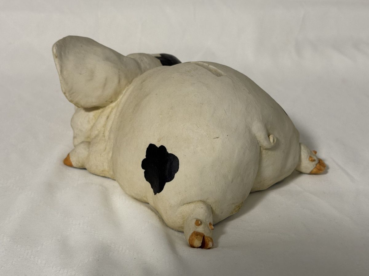 Salvadanai: spezielles Sparschwein – Usato da Schwerzenbach venduto da schwerzi70 3