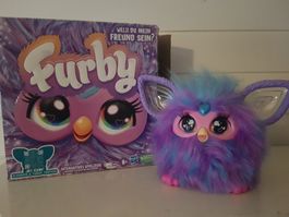 Furby