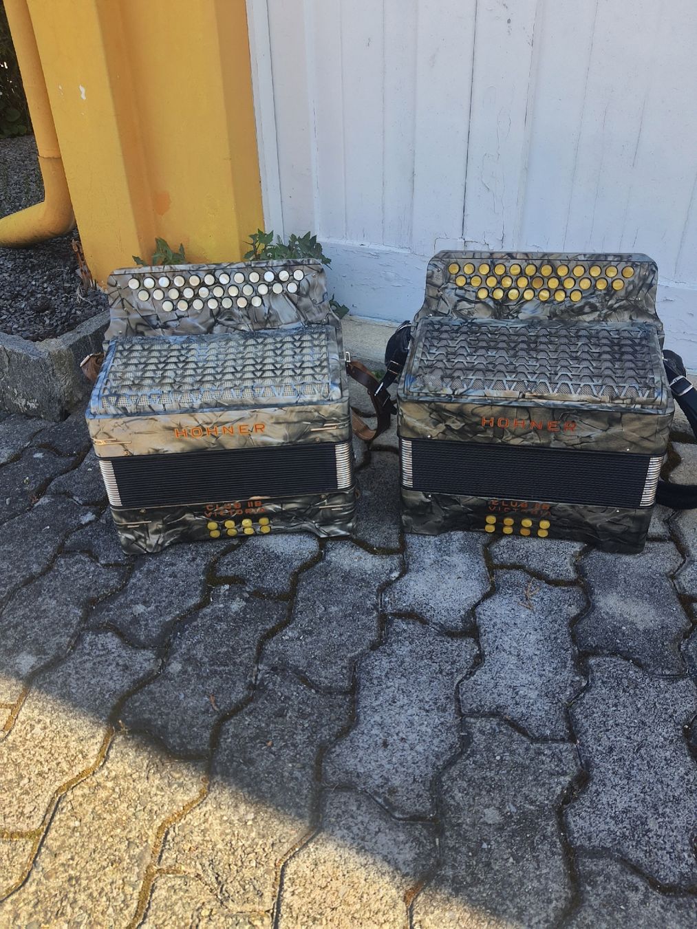 Hohner Strumenti musicali: 2 accordéons diatonique 8 basses hohner – Usato da Pont-de-la-Morge venduto da Mirabelle0