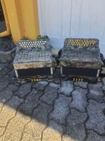 2 accordéons diatonique 8 basses hohner