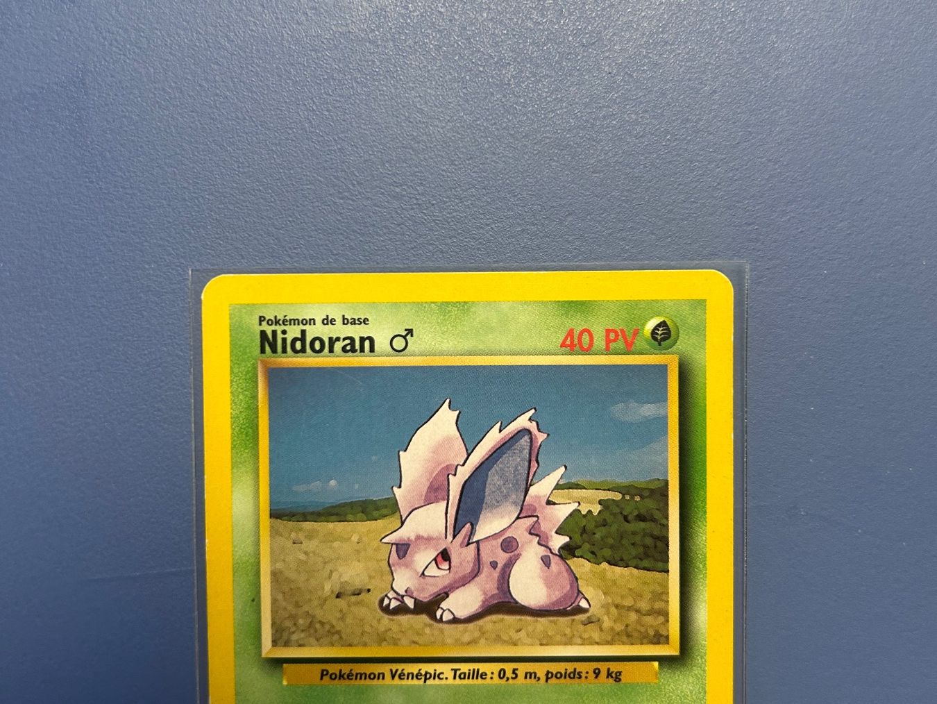 Pokémon Carte collezionabili: 1999 Nidoran 55/102 Set de base FR – Usato da Schlieren venduto da happymerchant64 2