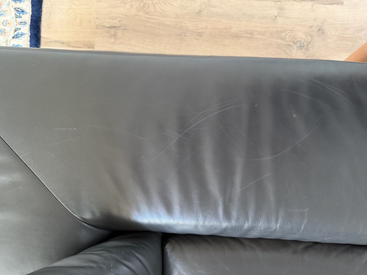 Sofas: Bullfrog Designersofa in Leder – Gebraucht aus Mauren von dej_j6f5 5