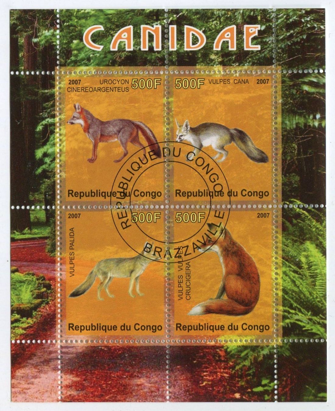 Tous les timbres: Block "Rotfuchs, Blassfuchs, Königfuchs". Kongo. – Neuf avec emballage d'origine à Basel par Butsch5
