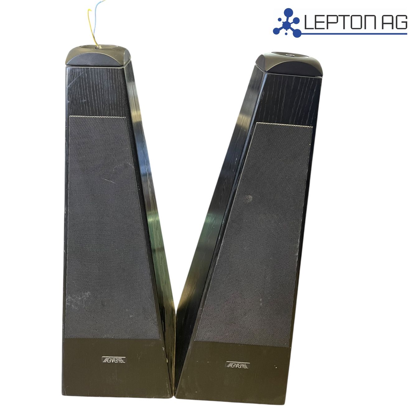 Magnat Casse acustiche: Magnat Magnasphere Gamma Lautsprecher/ 2x – Usato da Niederdorf venduto da LeptonAG 1
