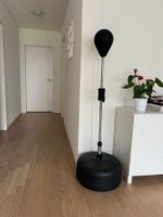 Steh Punchingball für Training zu Hause - Top Zustand!