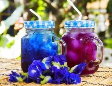 Piante & sementi: Clitoria ternatea ! Thé Bleu ! 3g – Nuovo (secondo la descrizione) da Bremblens venduto da FIBONACCI369 2