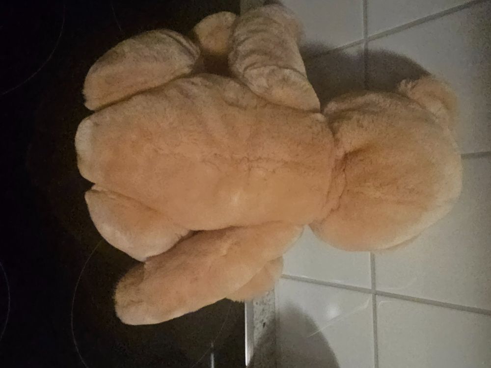 Steiff Teddybär, sehr gut erhalten, Sammlerstück, Top! 6