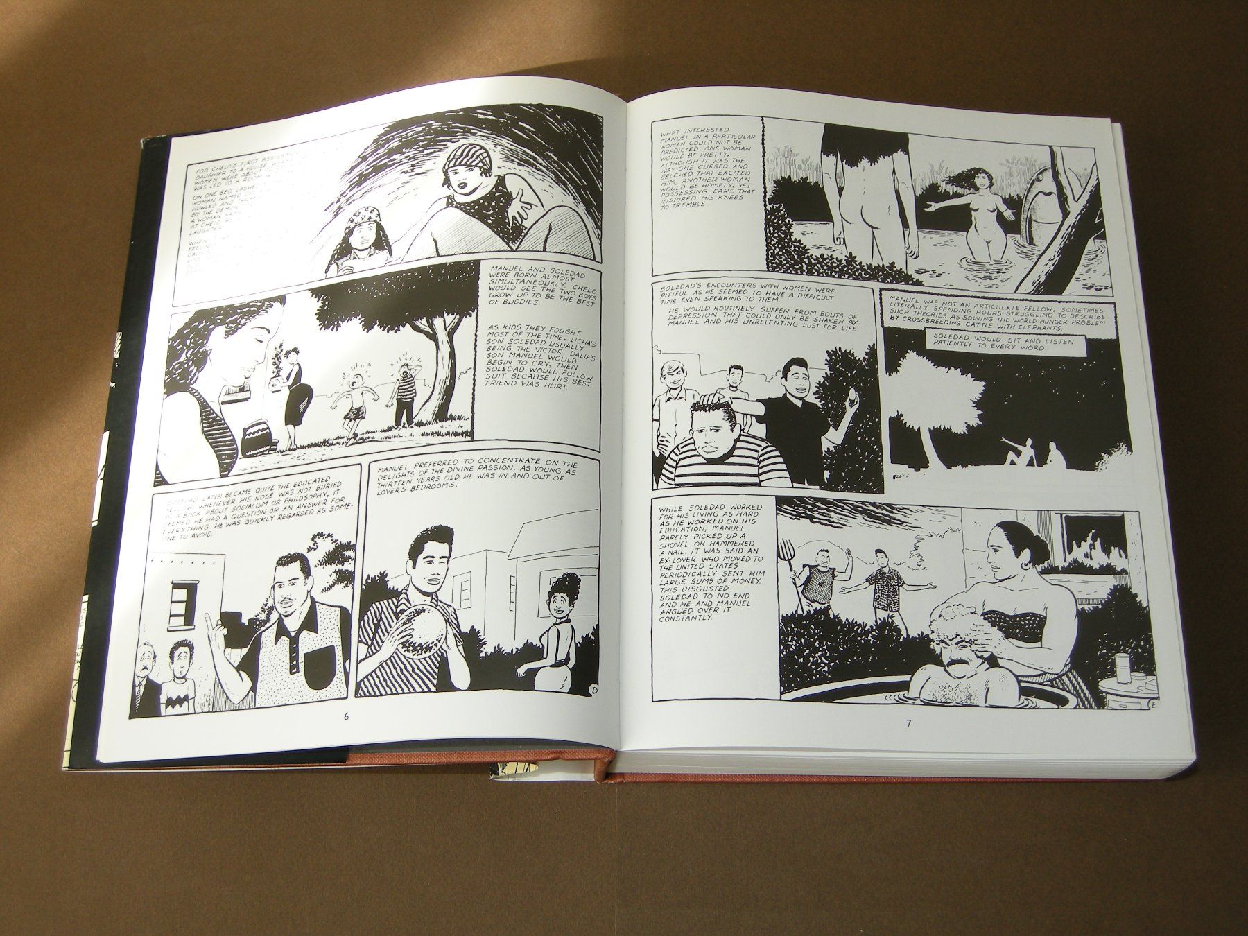 Fumetti: Palomar by Gilbert Hernandez #Heartbreak Soup #Alan Moore – Usato da Aarau venduto da Pearlz 2