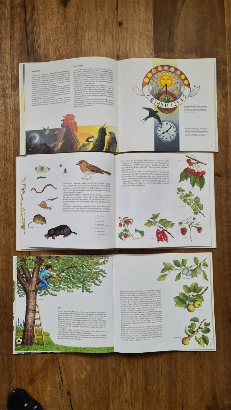 Libri: Die uhr bücher set – Usato da Wittenbach venduto da Tigerlili 5