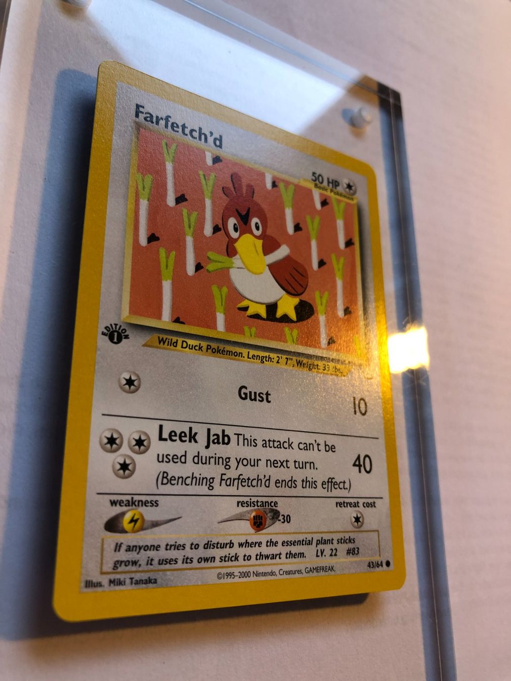 Carte collezionabili: Farfetch'd 1st Neo Revelation - MINT - ab 1.- – Usato da Giubiasco venduto da dan_pr8b 1