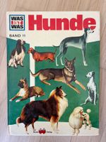 Was ist Was: Hunde | Band 11 | ältere Ausgabe | 1963