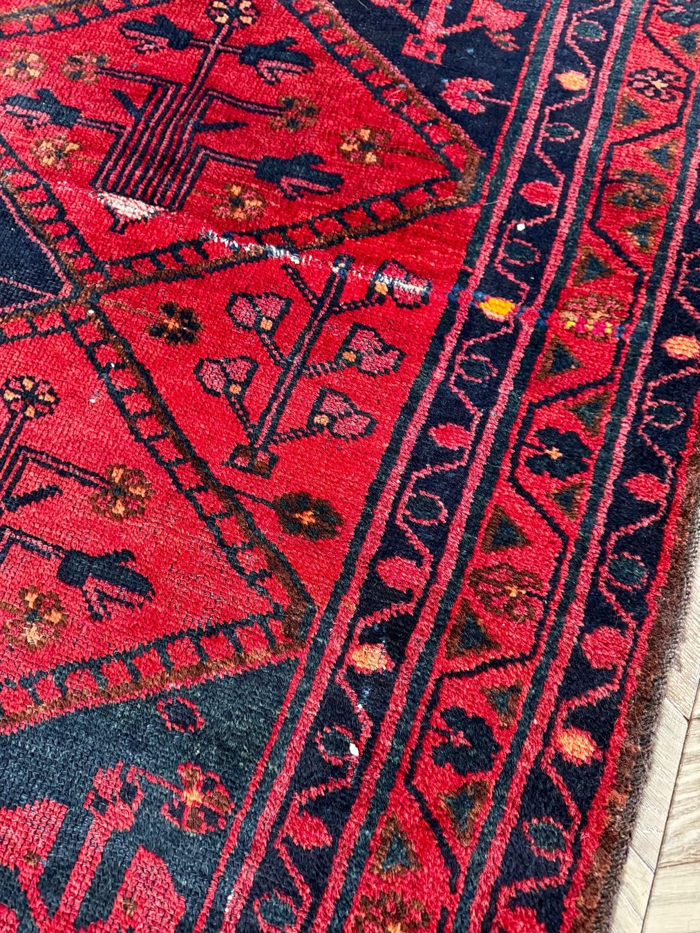 Teppiche: Teppich – Gebraucht aus Günsberg von xansibar 4