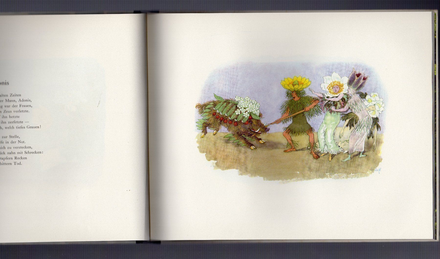 Libri: Alpenblumenmärchen. Ernst Kreidolf 1960 – Usato da Binningen venduto da blackhorse08 4