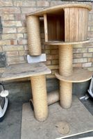 Katzenbaum  