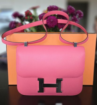 Constance 24  in Rose Azalee