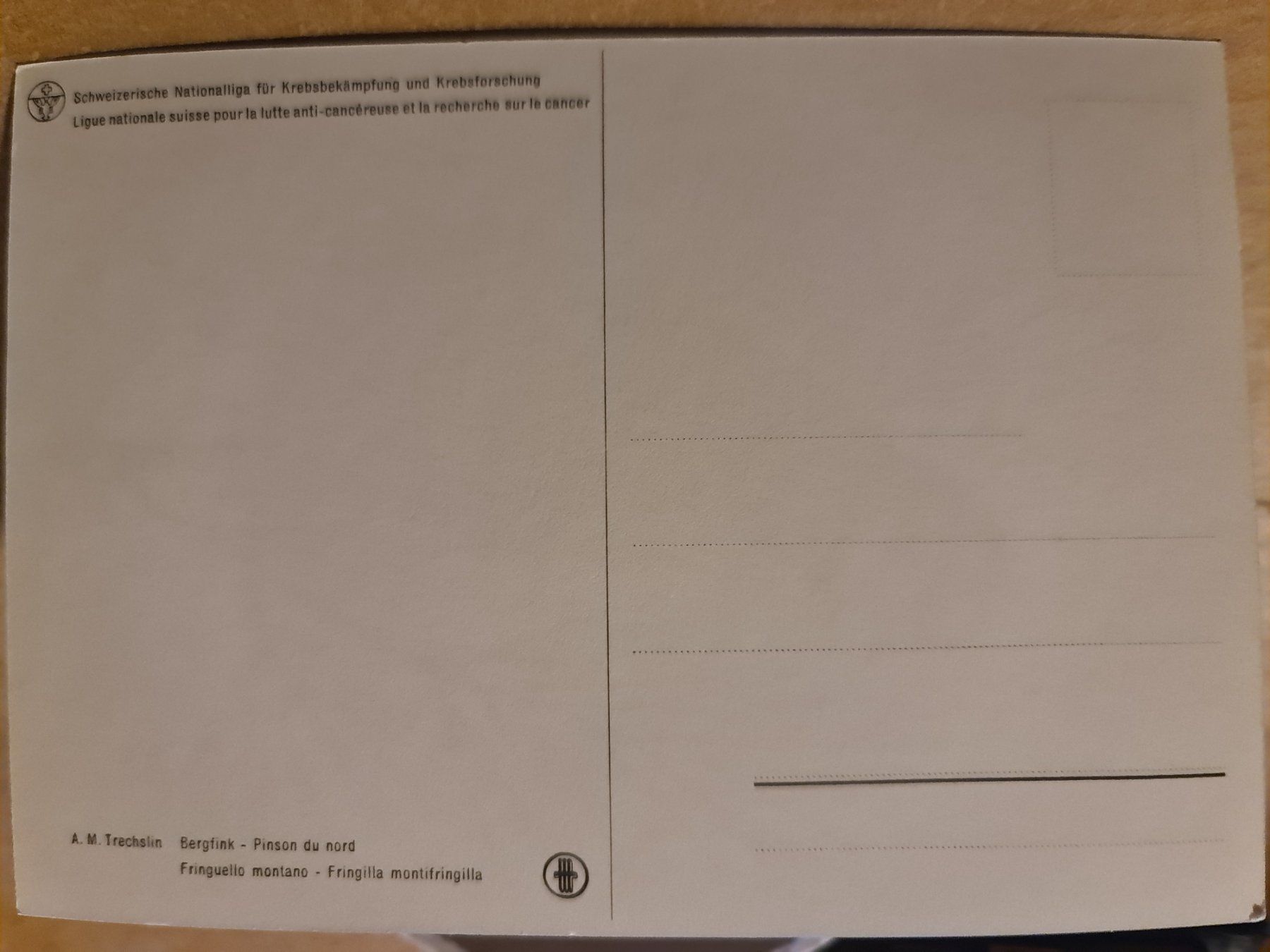 Cartoline postali: Ansichtskarte mit Bergfink Vogelmotiv - Winterzeit! – Nuovo (secondo la descrizione) da Dintikon venduto da Vexi 1
