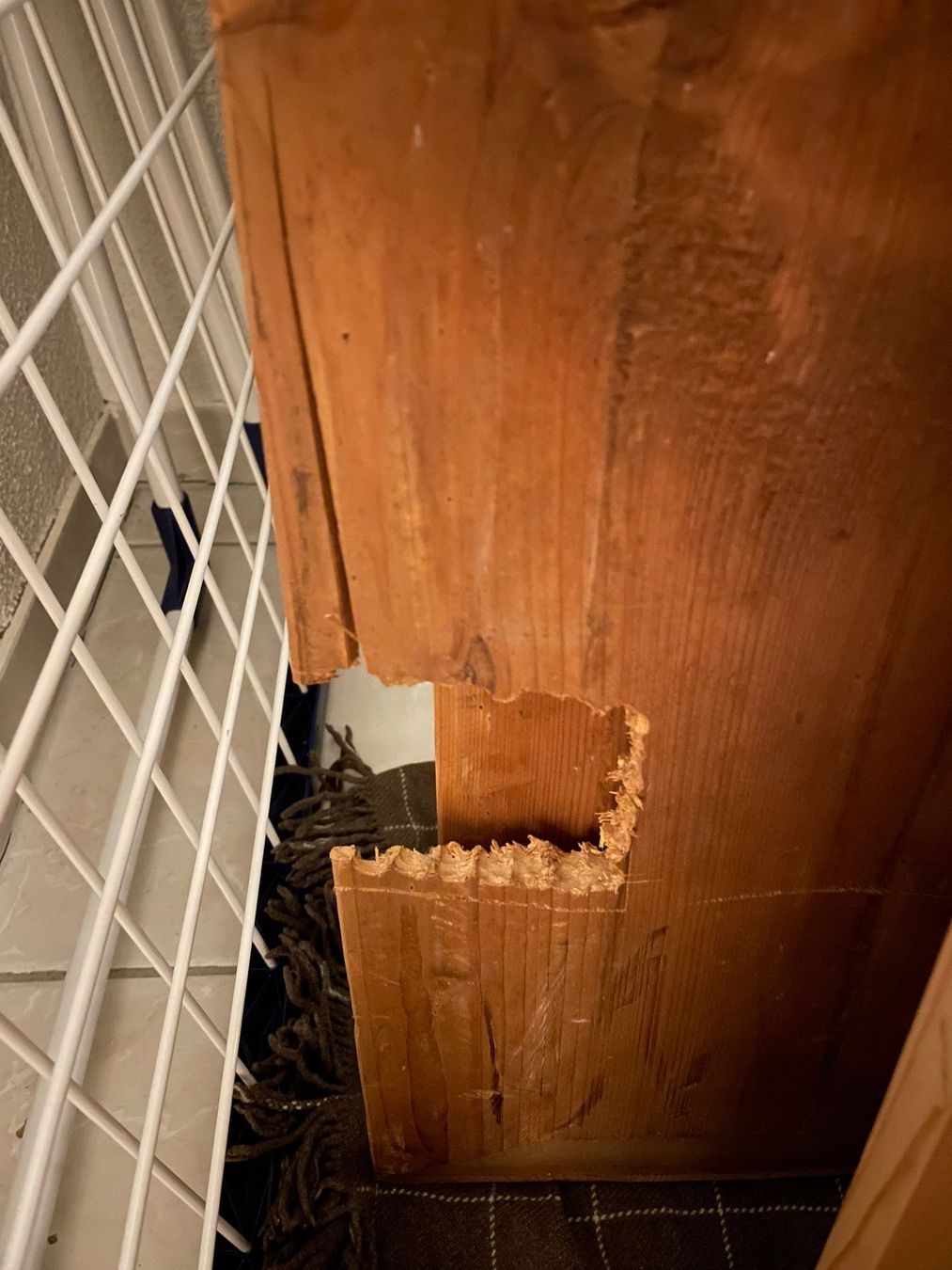 Armadi: Rustikaler Bauernschrank aus Holz – Usato da Wettswil venduto da Pandora95 6
