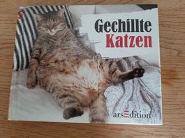 Gechillte Katzen Buch arsEdition Wie neu