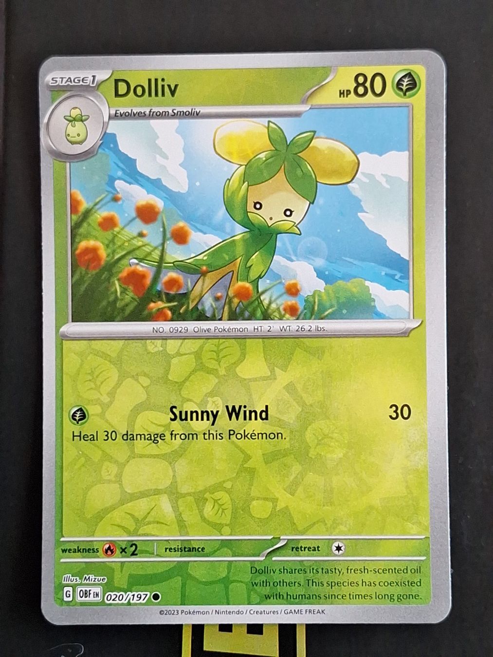 Pokémon Carte collezionabili: Dolliv - Pokemon Reverse Holo Obsidian Flames – Usato da Altstätten SG venduto da GGsGameshop