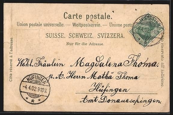 Cartoline postali: Litho Schaffhausen, Rheinfall, Panorama  – Usato da Berlin venduto da bartko-reher 1
