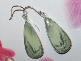 Ohrringe SERPENTINE 925 Silber fazetiert VP 69,-