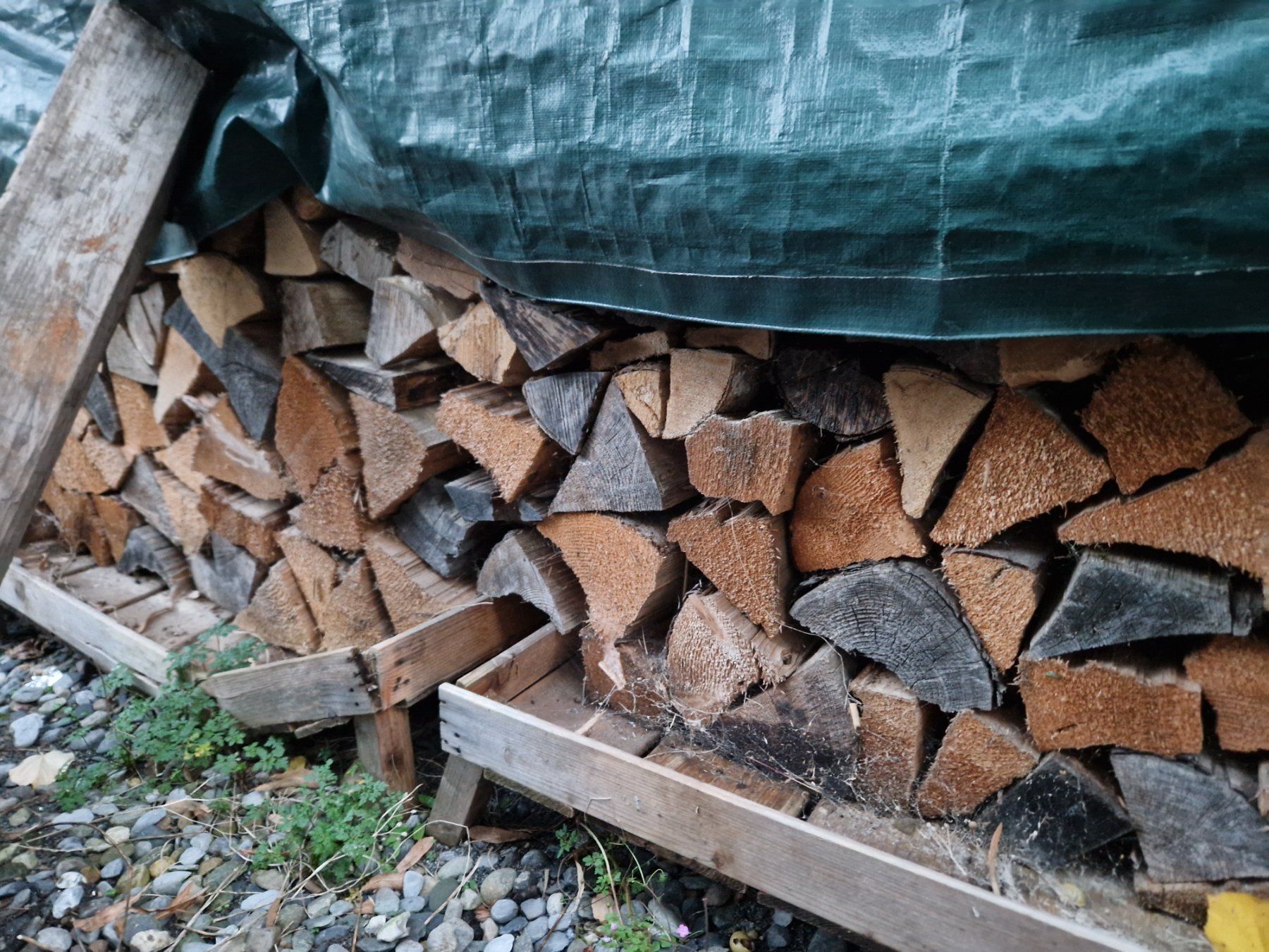 Articoli in legno: Brennholz Tanne 33cm – Usato da Ennenda venduto da uelio1 1